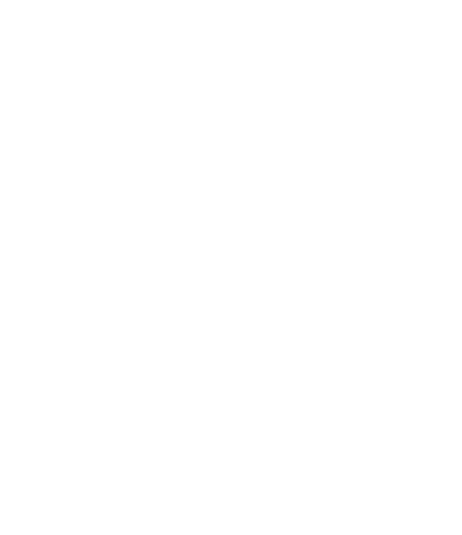 Cámara Santo Domingo